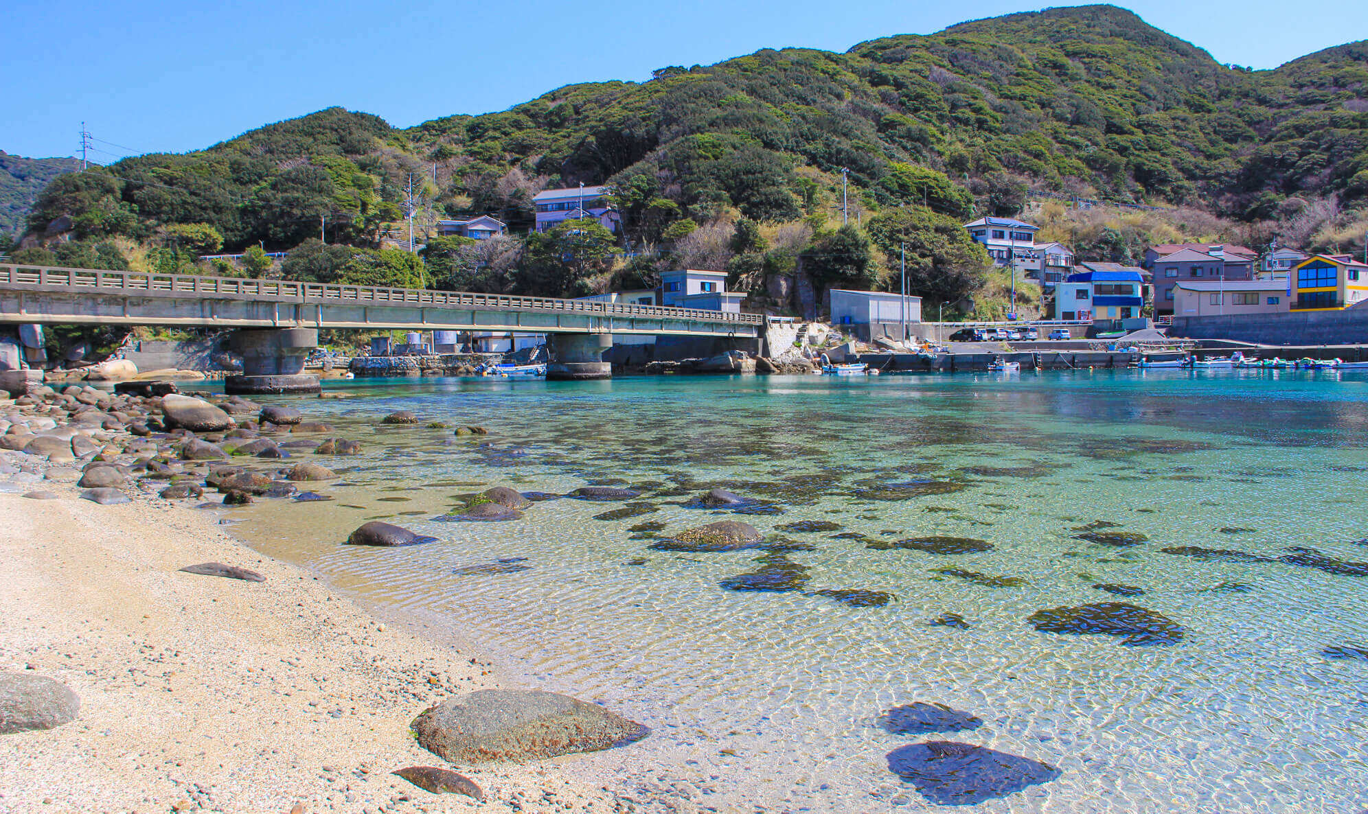 柏島