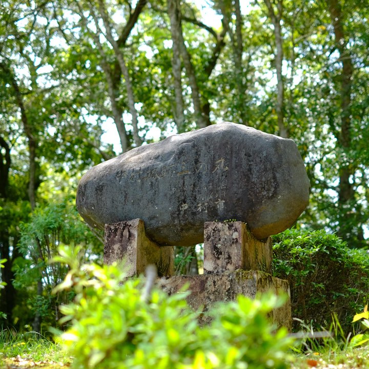 東城（三の丸）の写真