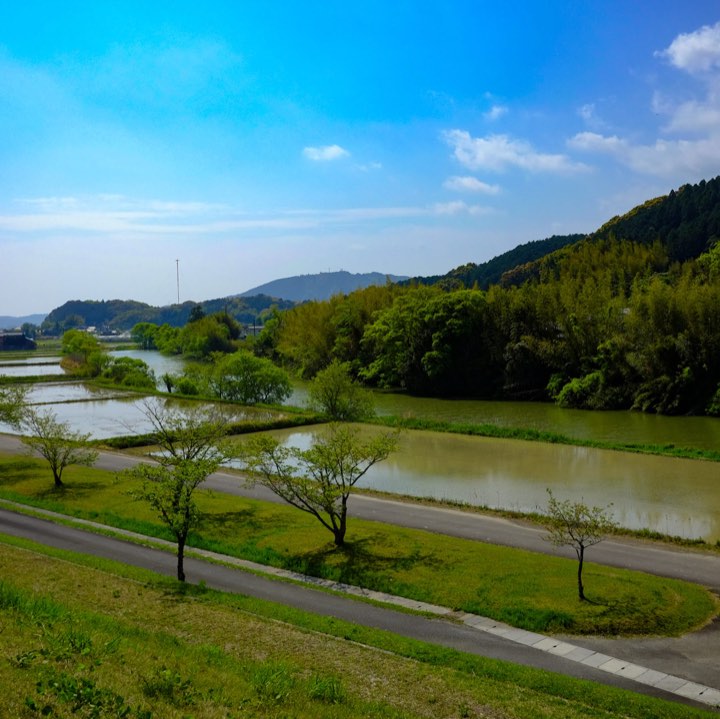 源池（もといけ）と長池の写真