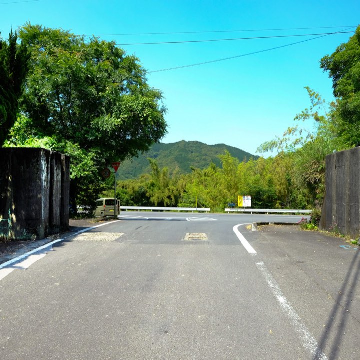 水留めの写真