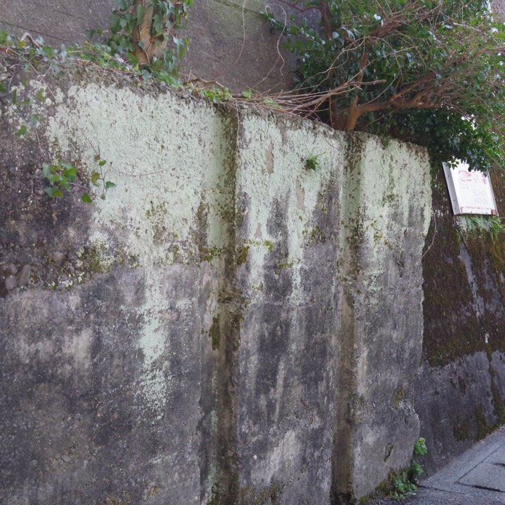 右山の水止めの写真