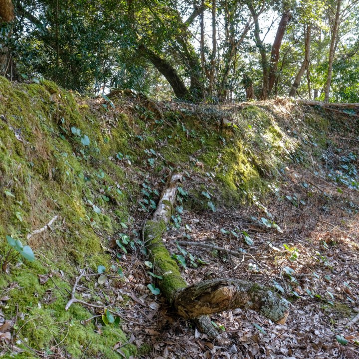 二の丸の土塁の写真