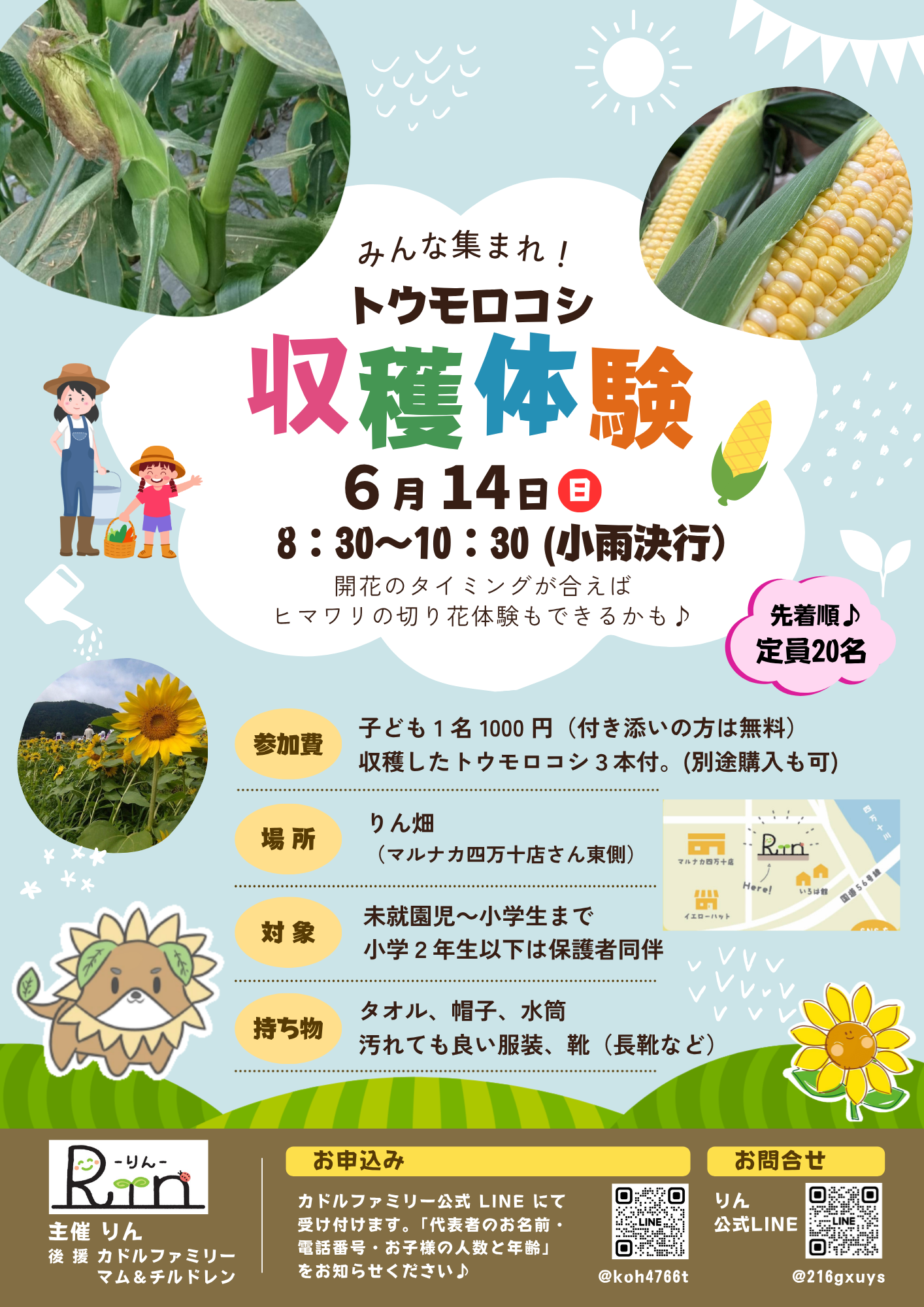 トウモロコシ収穫体験✨🌽