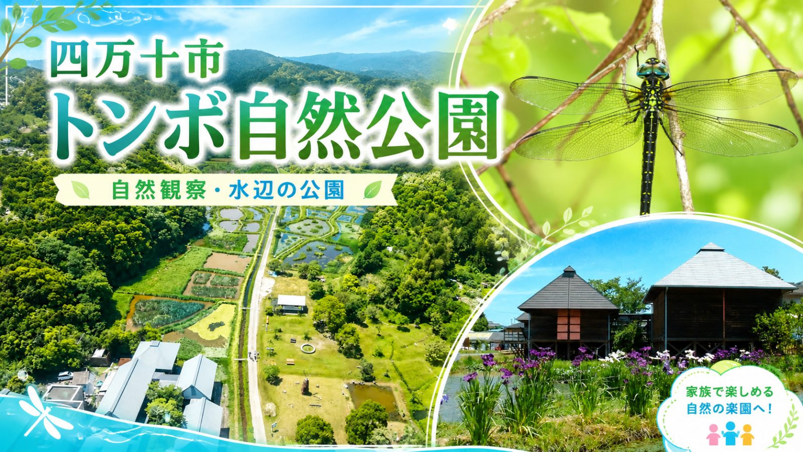 トンボ自然公園